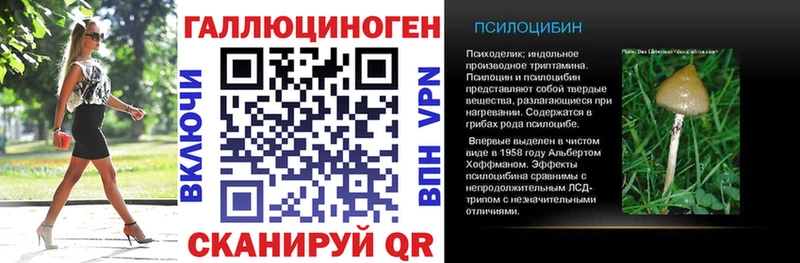 Псилоцибиновые грибы мицелий  Ленинск-Кузнецкий 