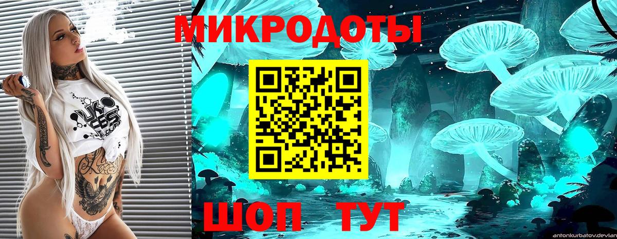 Галлюциногенные грибы Psilocybine cubensis  Псилоцибиновые грибы мухоморы  Ленинск-Кузнецкий  Вход с VPN 