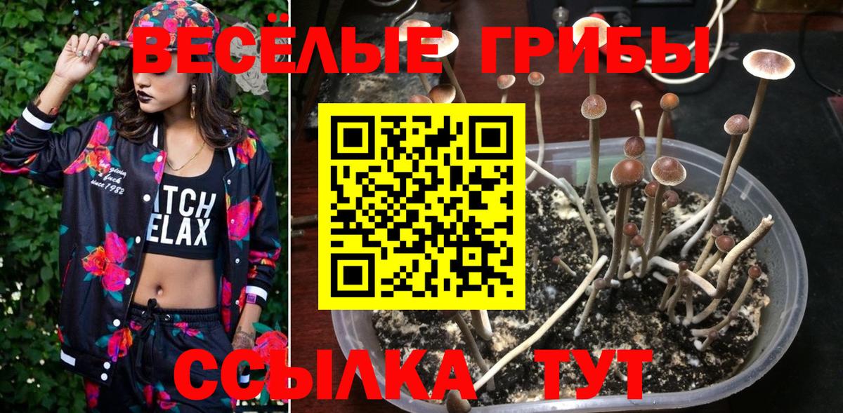 Амфетамин кристаллы  Ленинск-Кузнецкий  Вход с VPN  Меф МЯУ МЯУ   Конопля  COCAIN  ГАШИШ 